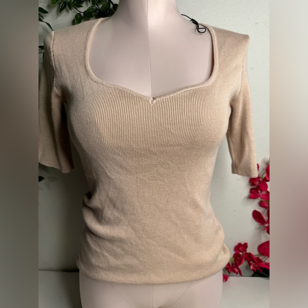🏷️ Tahari Top 🏷️